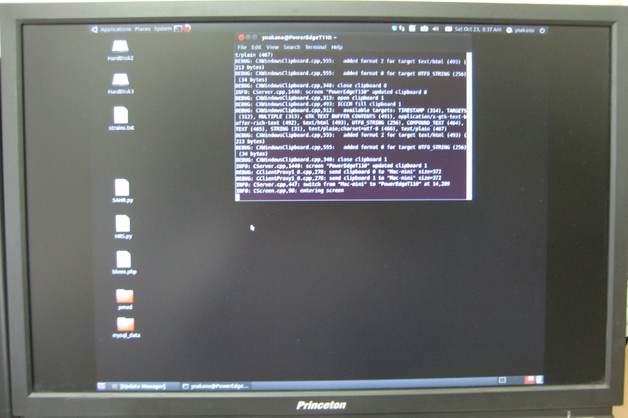 Ubuntu1010モニタ画面